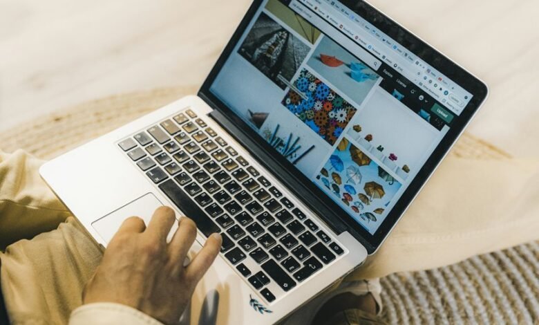 online professional web model