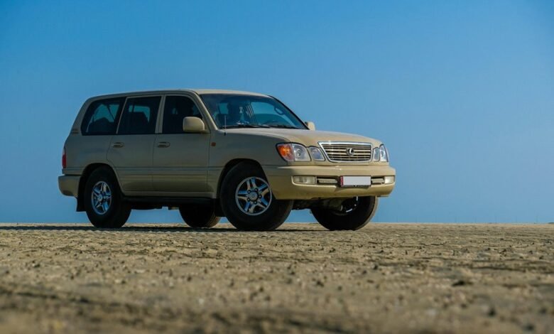 stable online platform services